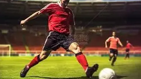 明星荒岛求生365天，娱乐界热议话题火爆全网