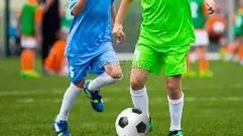 2025上海马拉松：周日申爱启程，鸣枪开跑